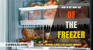Rescuing Nora: Quick Steps to Safely Free Her from the Freezer