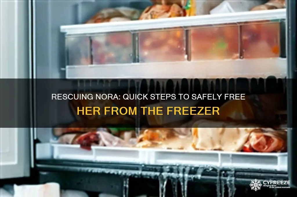 how to get nora out of the freezer