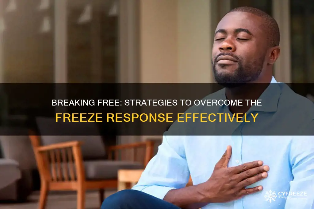 how to get out of a freeze response