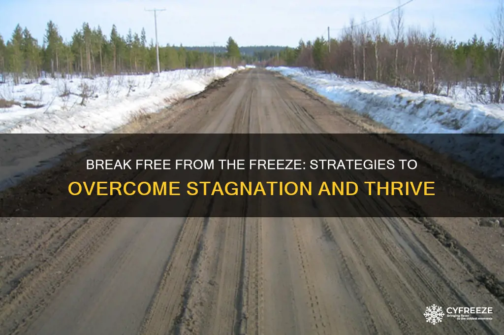 how to get out of a freeze state rut