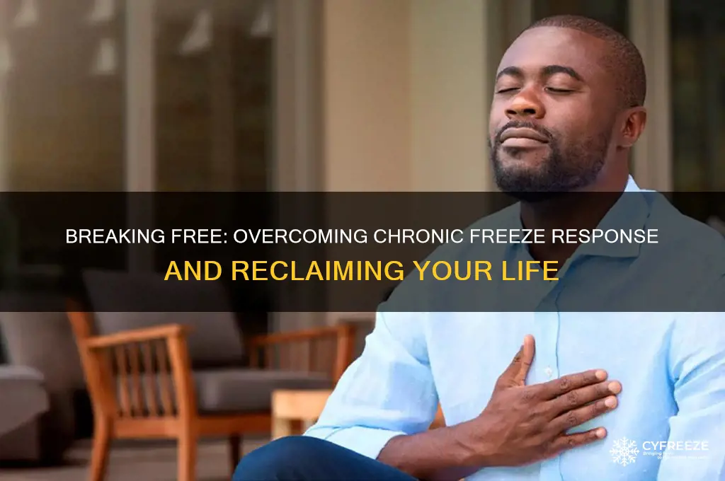 how to get out of chronic freeze response