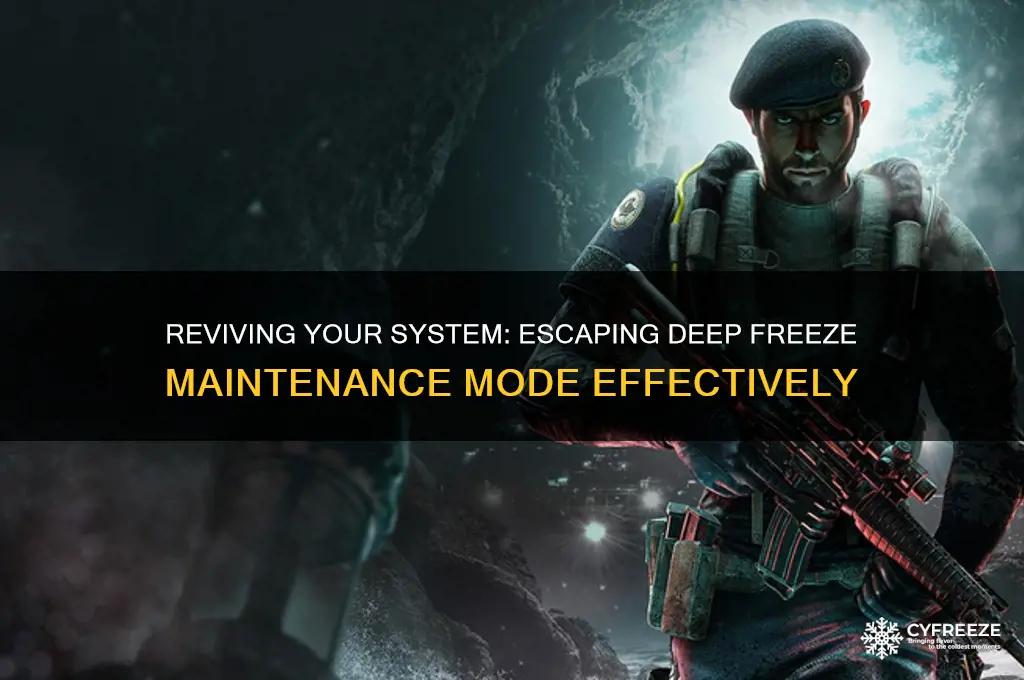 how to get out of deep freeze maintenance mode