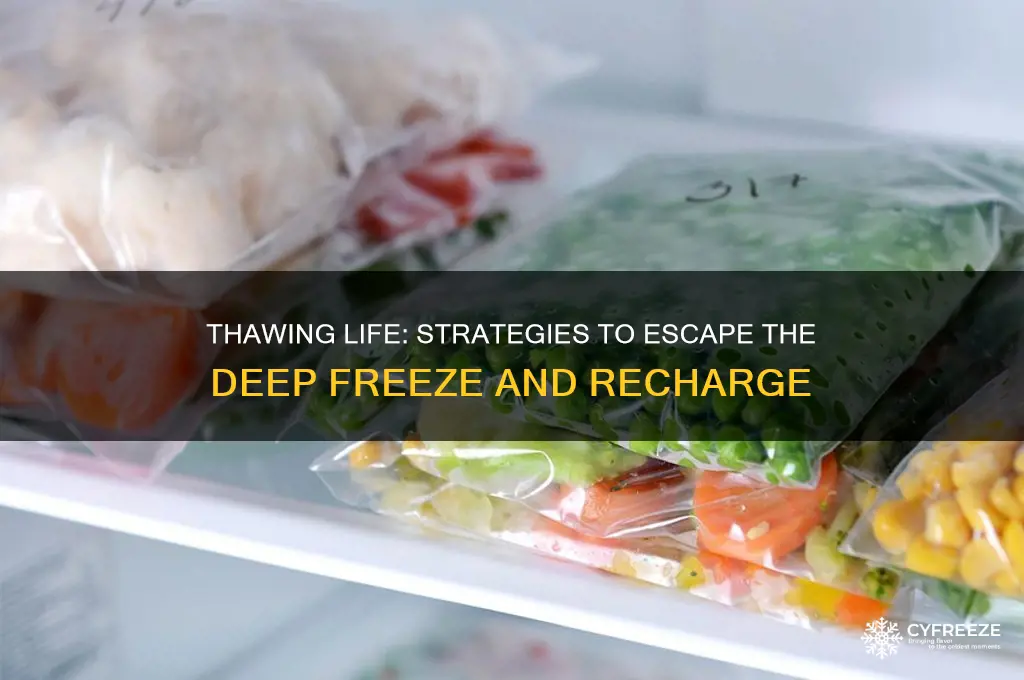 how to get out of deep freeze