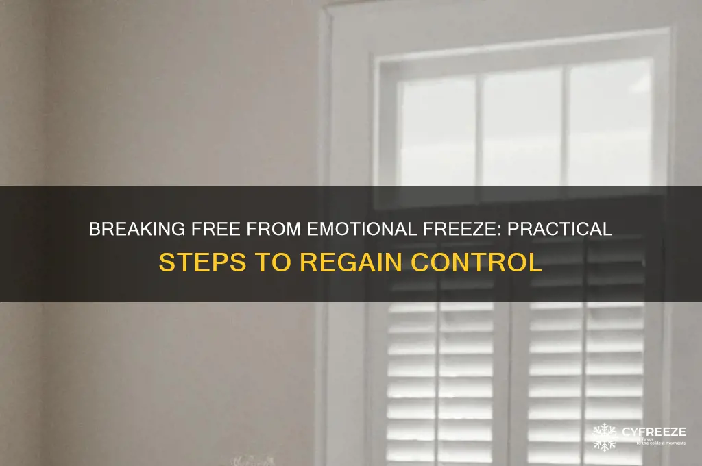 how to get out of emotional freeze