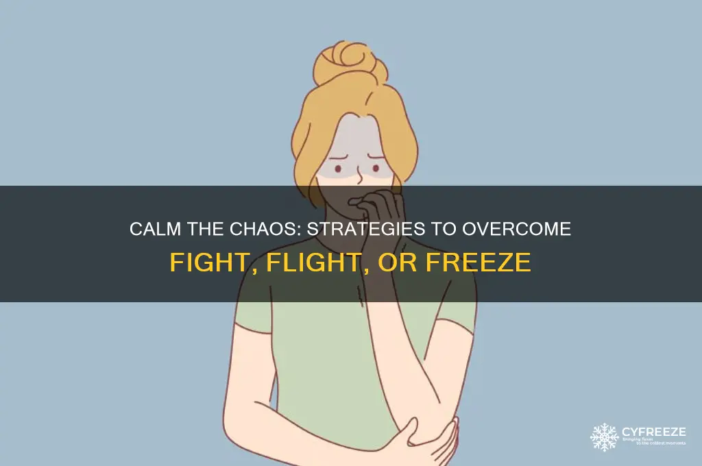 how to get out of fight flight or freeze