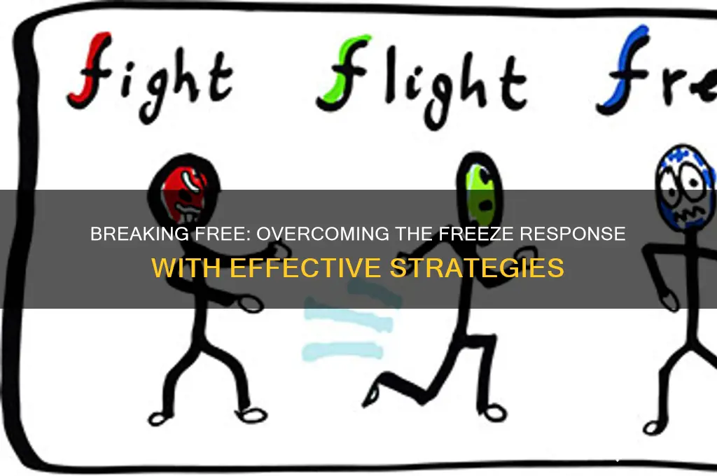 how to get out of freeze dorsal response