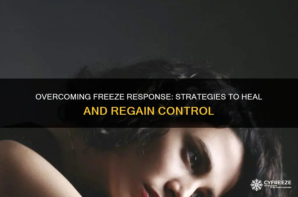 how to get out of freeze response trauma