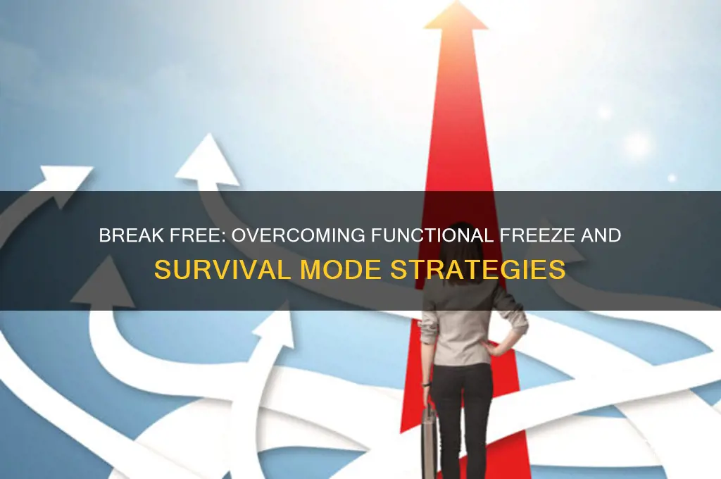 how to get out of functional freeze and survival mode