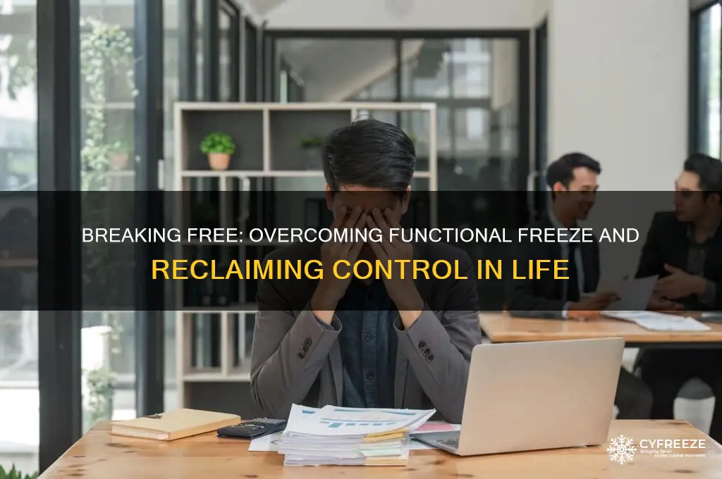how to get out of functional freeze or shutdown