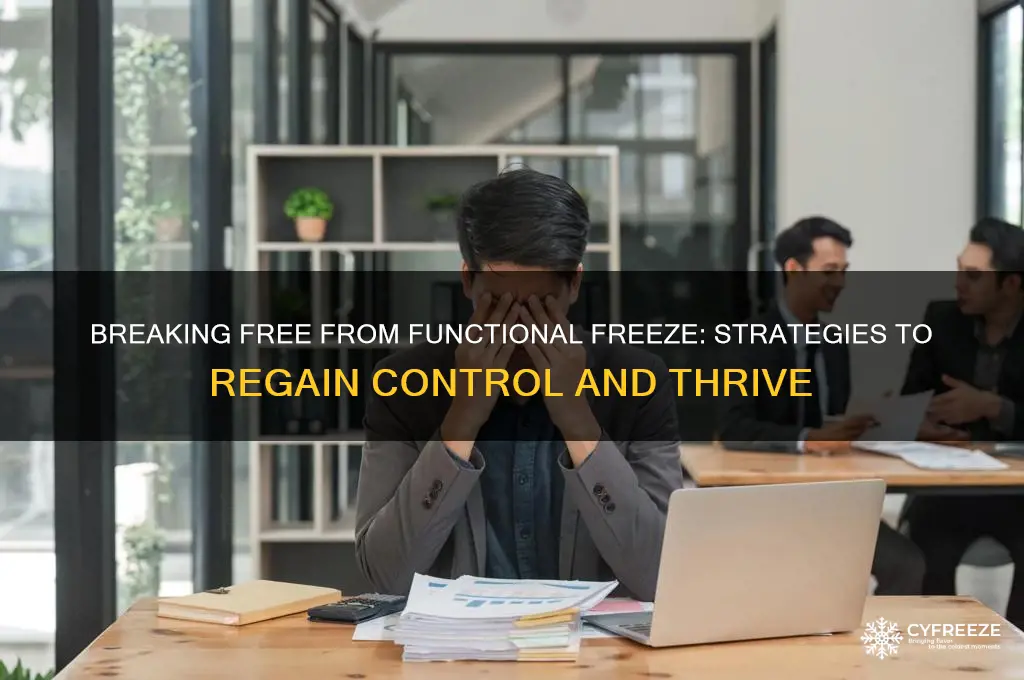 how to get out of functional freeze response