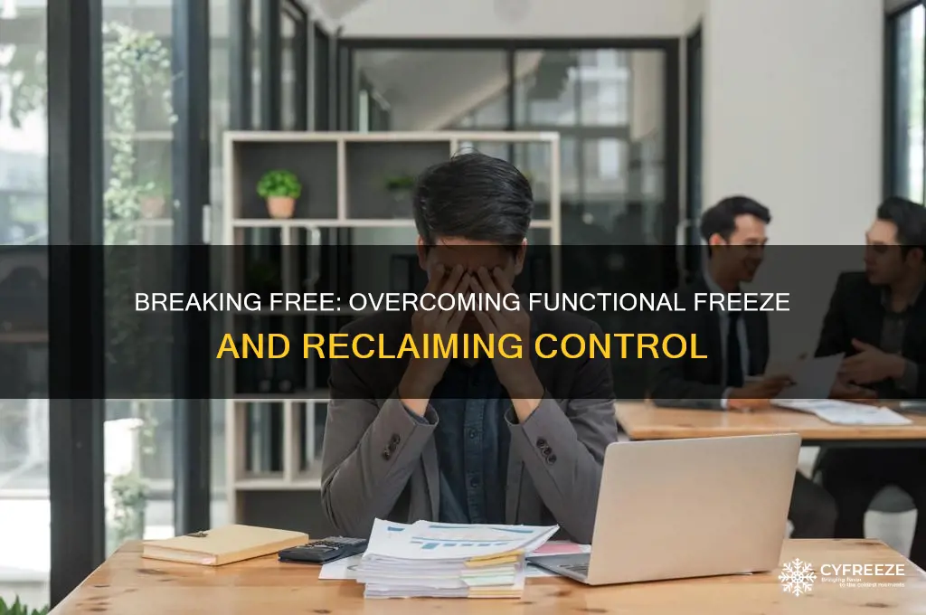 how to get out of functional freeze state