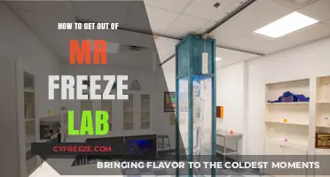 Escape Mr. Freeze's Lab: Step-by-Step Guide to Breaking Free