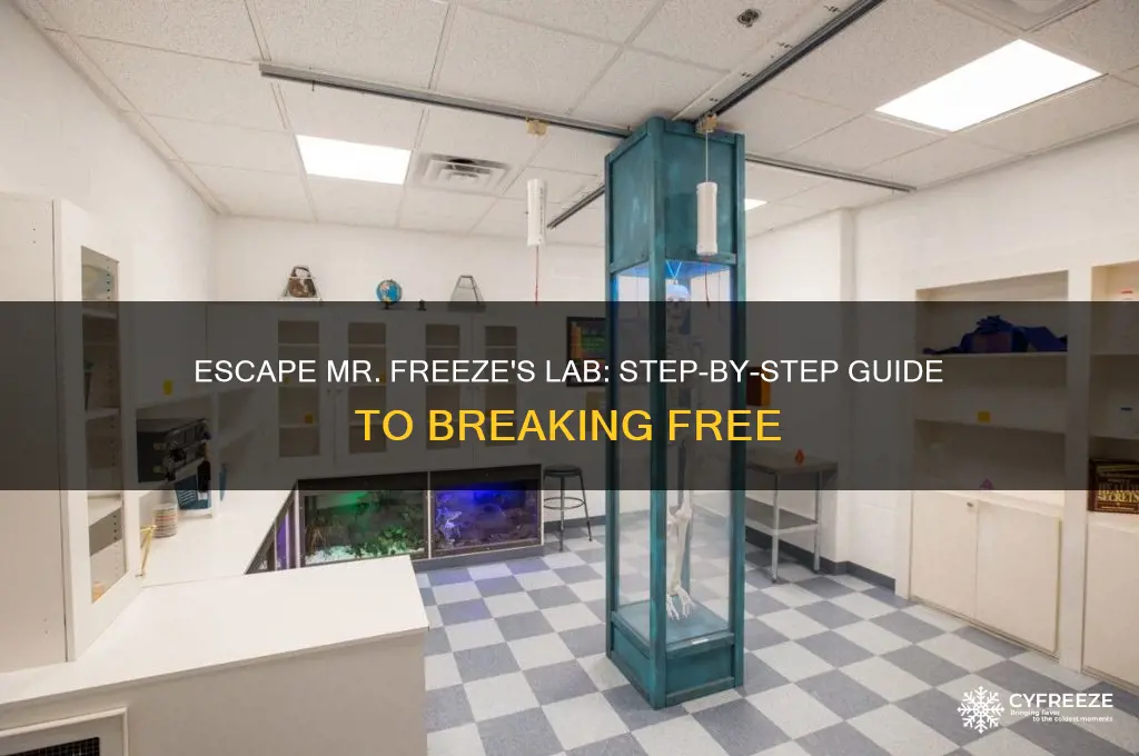 how to get out of mr freeze lab