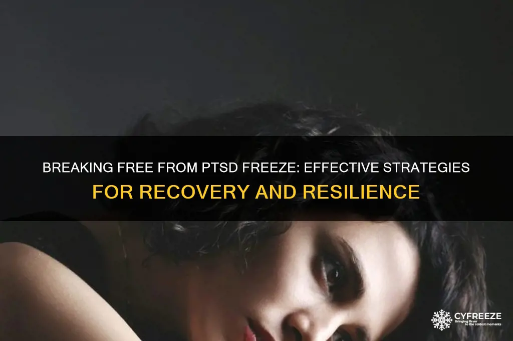 how to get out of ptsd freeze