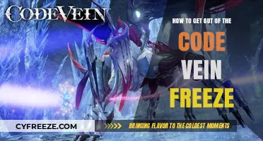 Breaking the Code Vein Freeze: Strategies to Regain Momentum and Productivity