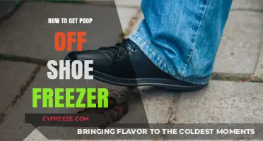Quick Tips for Removing Poop from Shoes Using a Freezer