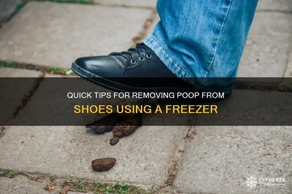how to get poop off shoe freezer