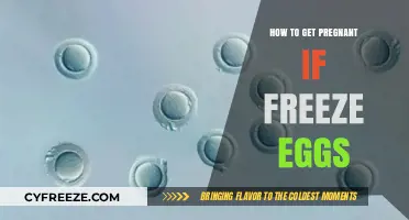 Frozen Eggs to Pregnancy: A Step-by-Step Guide to Conception