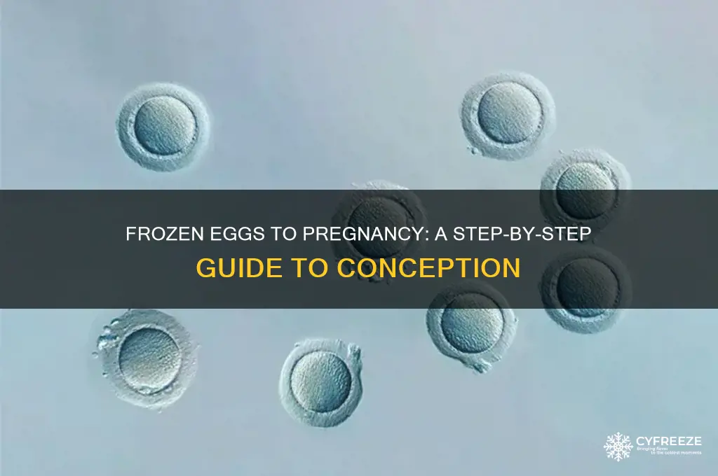 how to get pregnant if freeze eggs