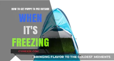 Potty Training in Winter: Tips for Outdoor Puppy Peeing in Freezing Temps