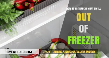 Eliminate Rancid Meat Odor: Effective Tips to Freshen Your Freezer