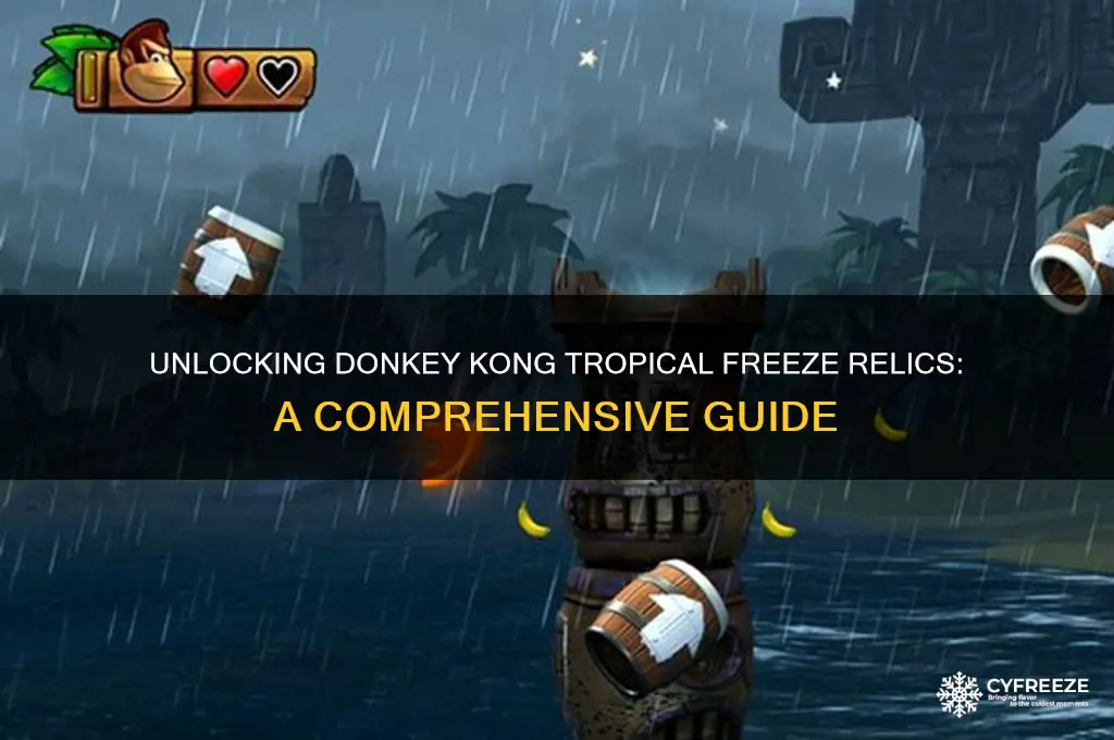how to get relics in donkey kong tropical freeze