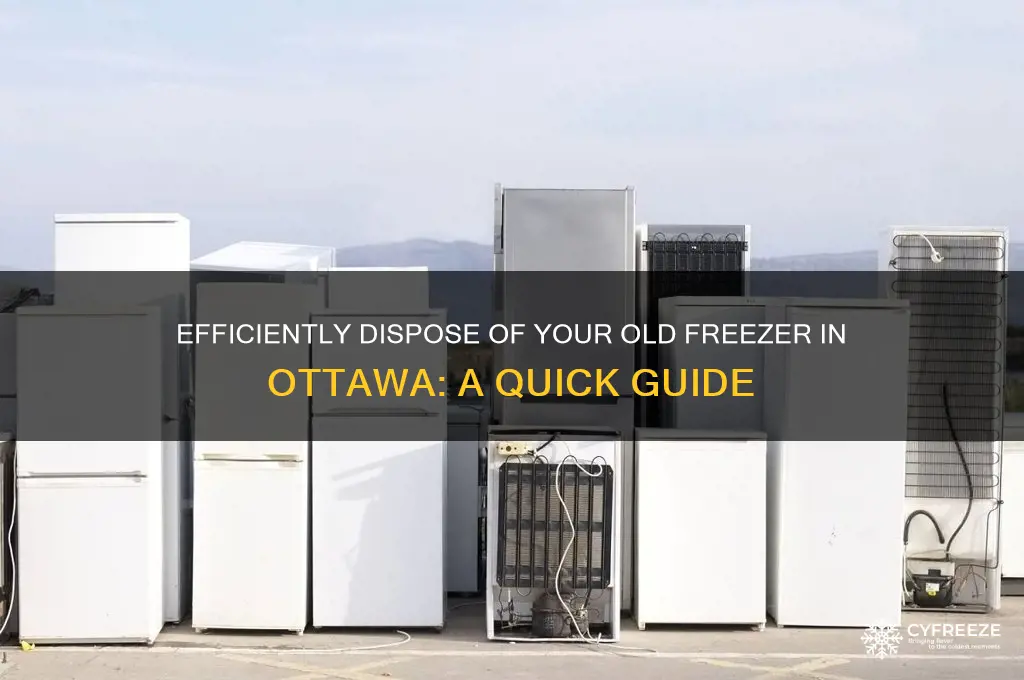 how to get rid of a freezer in ottawa