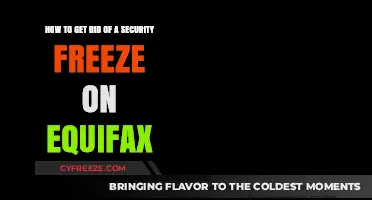 Unlock Your Equifax Credit Report: Removing a Security Freeze Easily