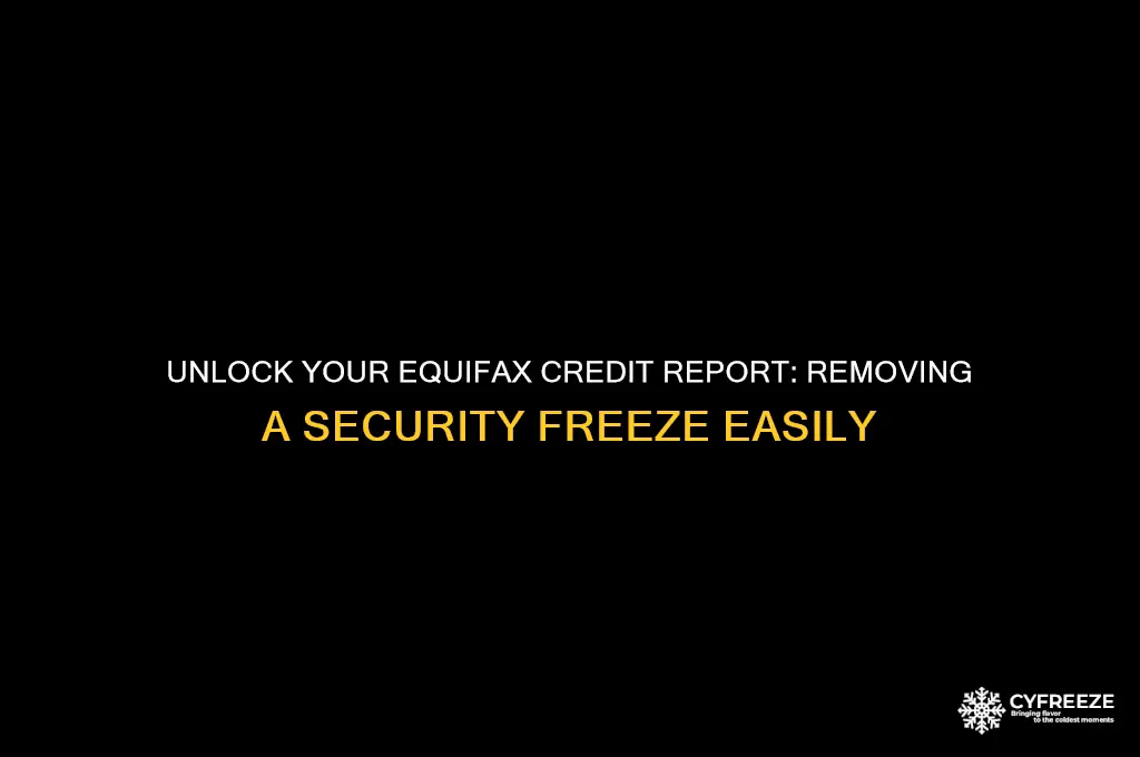 how to get rid of a security freeze on equifax