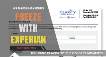 Removing an Experian Security Freeze: A Step-by-Step Guide to Unlocking Your Credit
