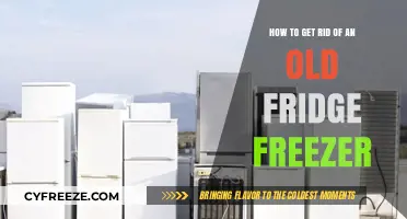 Eco-Friendly Disposal: A Guide to Getting Rid of Your Old Fridge Freezer