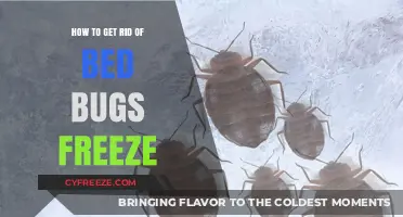 Effective Bed Bug Elimination: Freezing Methods to Eradicate Infestations