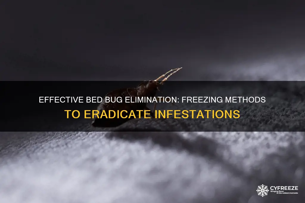 how to get rid of bed bugs freeze