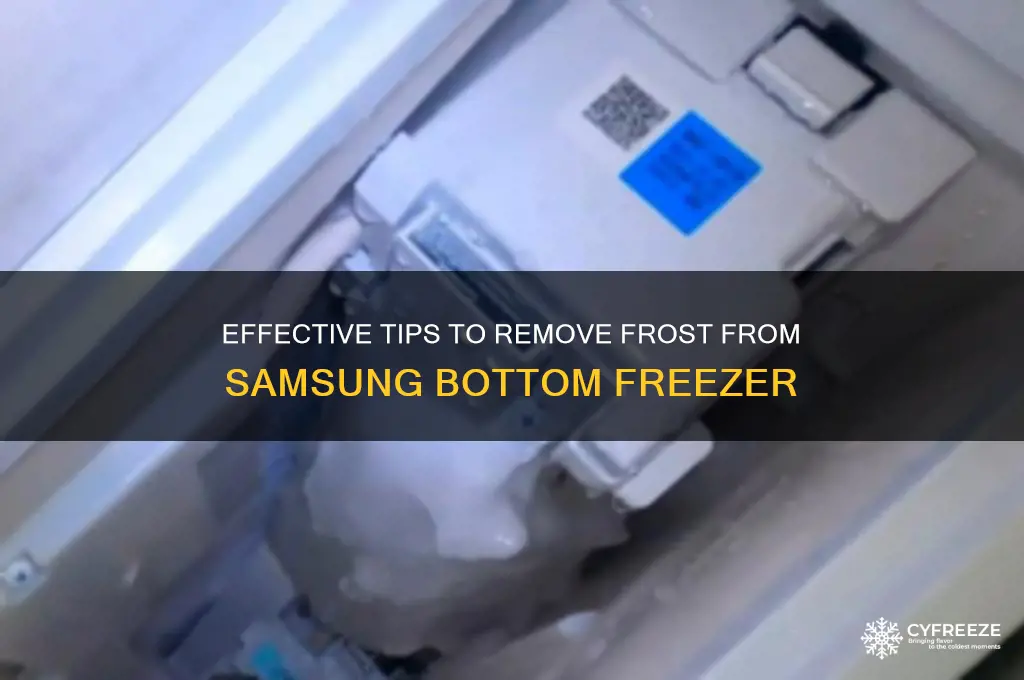 how to get rid of frost samsung bottom freezer