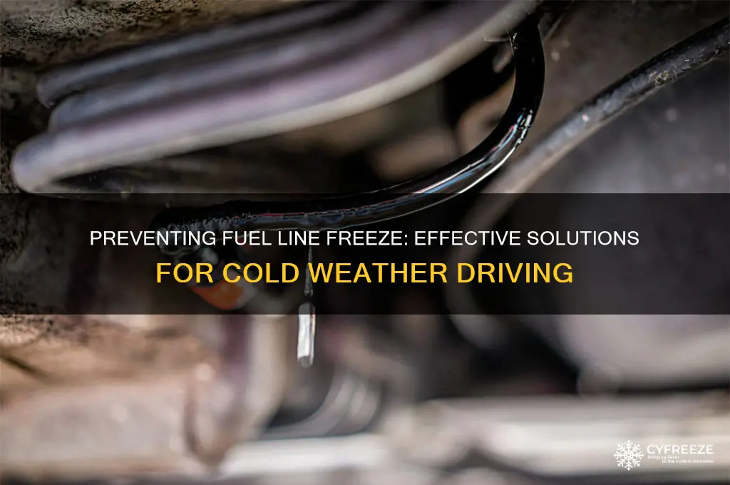 how to get rid of fuel line freeze up
