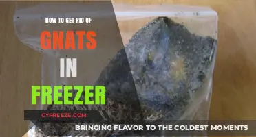 Effective Ways to Eliminate Gnats from Your Freezer Quickly