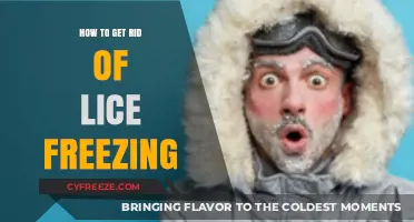 Effective Lice Removal: Freezing Method Explained and Proven Tips