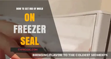 Effective Ways to Remove Mold from Your Freezer Seal