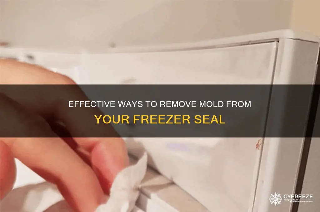how to get rid of mold on freezer seal