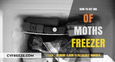 Effective Freezer Method to Eliminate Moths from Your Home