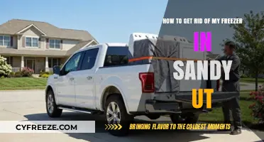 Efficient Freezer Disposal Tips for Sandy, UT Residents