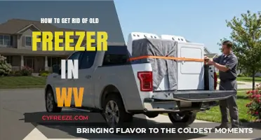Eco-Friendly Freezer Disposal Guide for West Virginia Residents