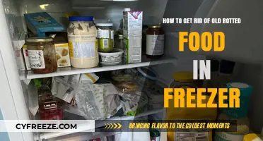 Quick Tips to Safely Remove Rotted Food from Your Freezer