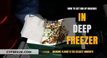 Effective Ways to Eliminate Roaches from Your Deep Freezer