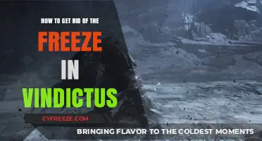 Effective Strategies to Eliminate Freeze Issues in Vindictus Gameplay