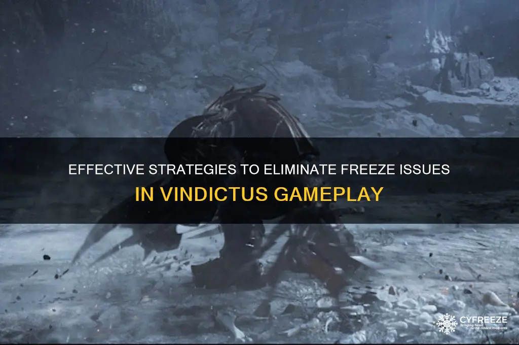 how to get rid of the freeze in vindictus