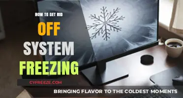 Effective Solutions to Prevent and Fix System Freezing Issues