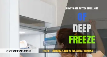 Eliminate Rotten Smells from Your Deep Freeze: Quick and Easy Tips