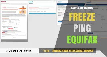 Secure Your Credit: How to Get a Security Freeze with Equifax