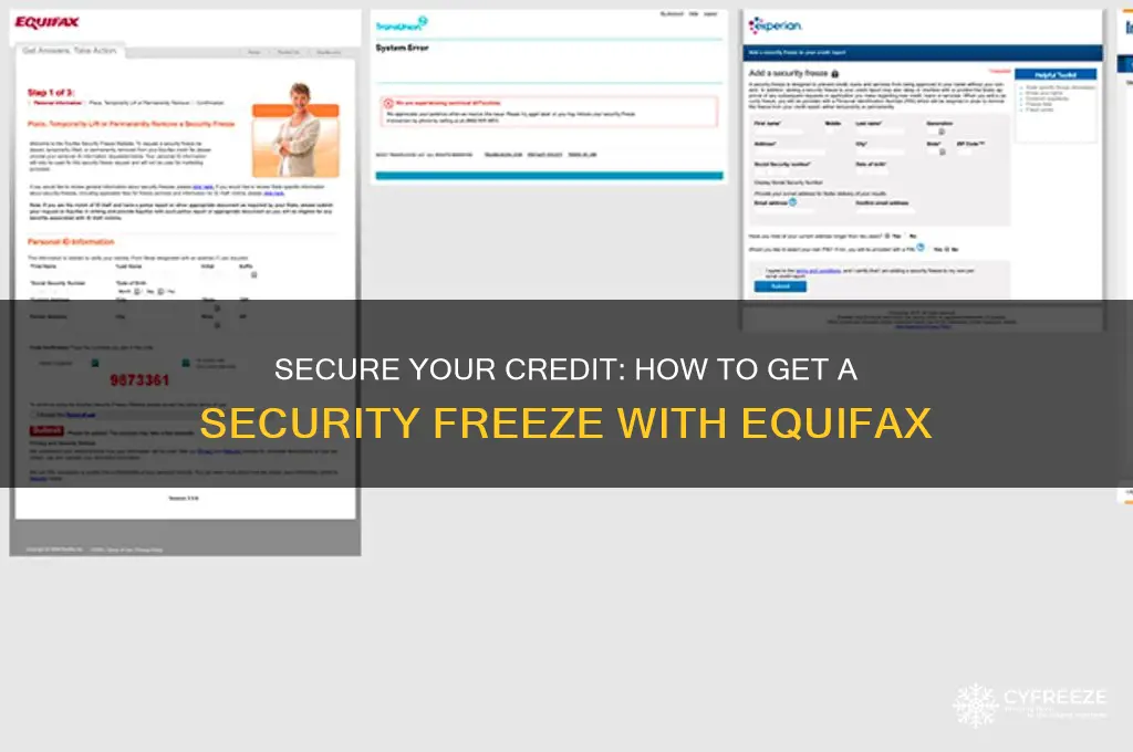 how to get security freeze ping equifax